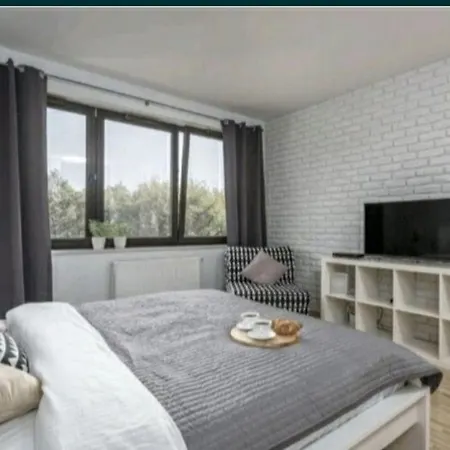 Garsoniera Ionut 2 Lägenhet